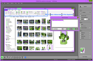 تحميل برنامج WinSnap للكمبيوتر